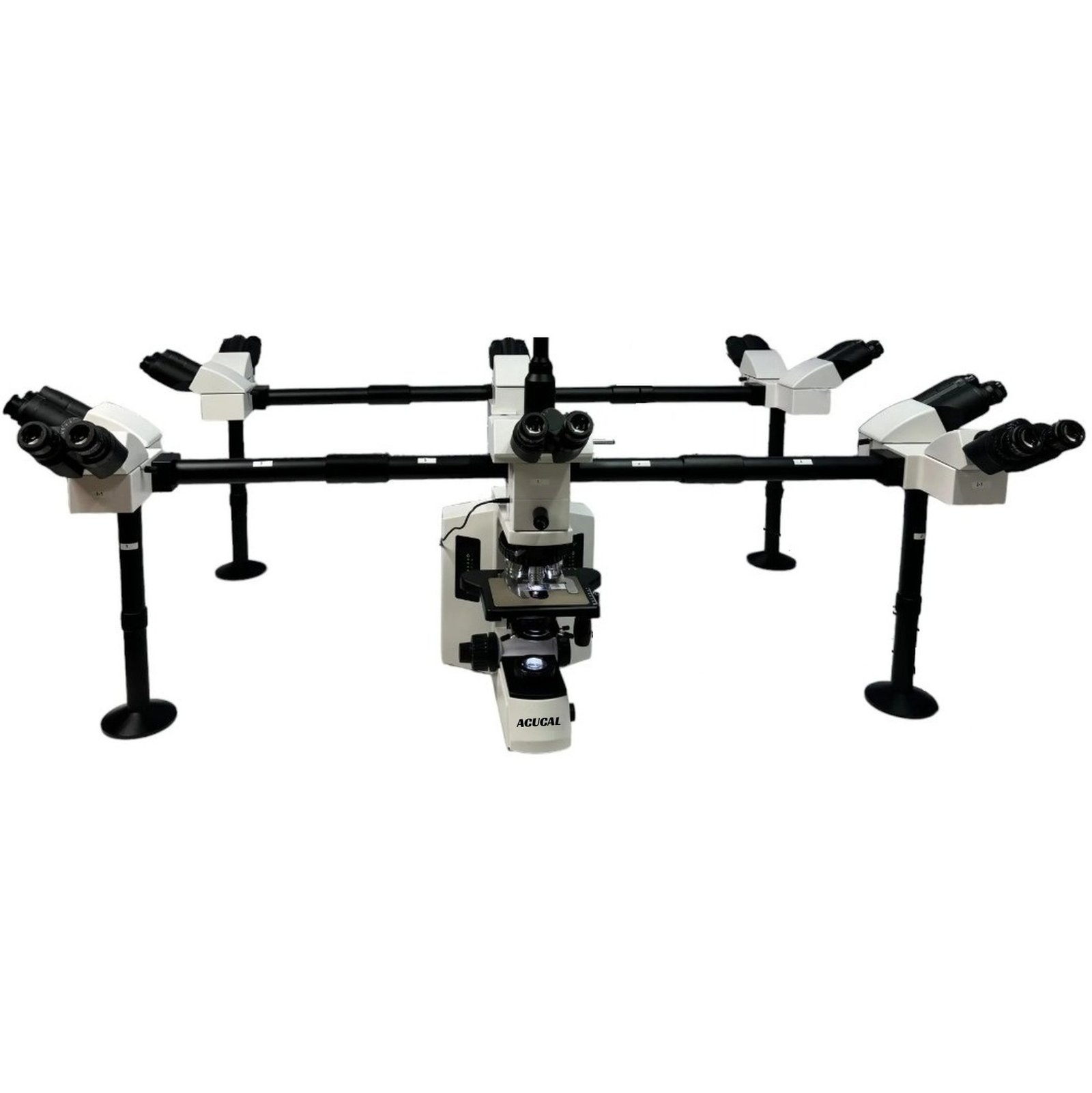 Product View